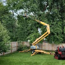 Best Hedge Trimming  in Mill Valley, CA