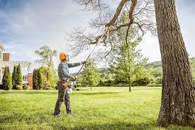 Best Utility Line Clearance  in Mill Valley, CA